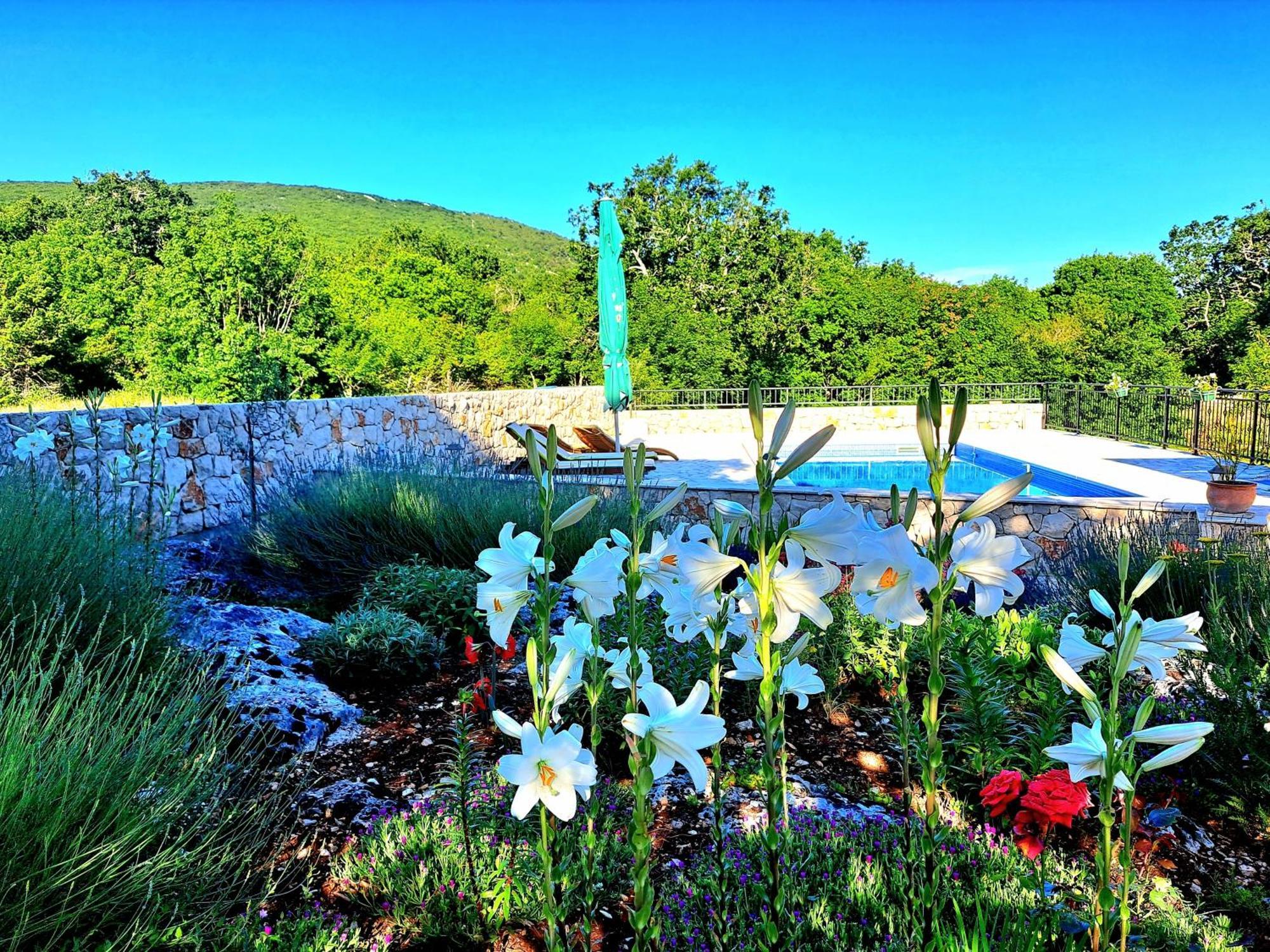 Relaxing Dalmatian House In Village Ljubitovica Exterior photo